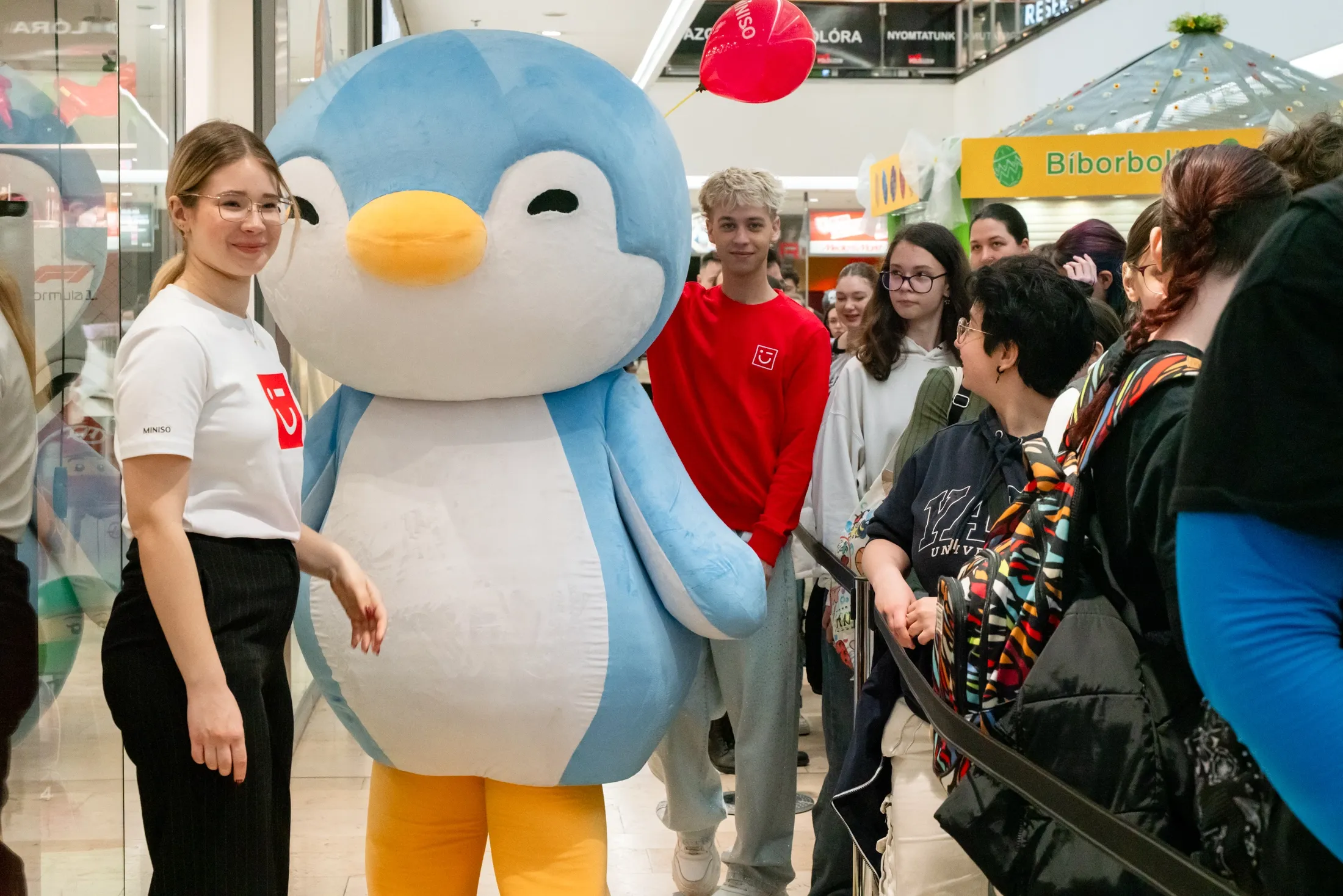 A photo from the gallery